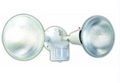 Security Motion Light